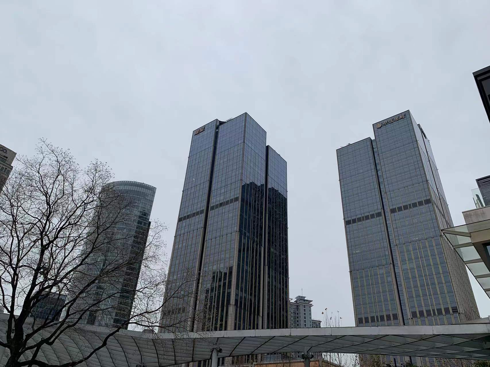 中国商标注册申请类别2021年全年排行榜