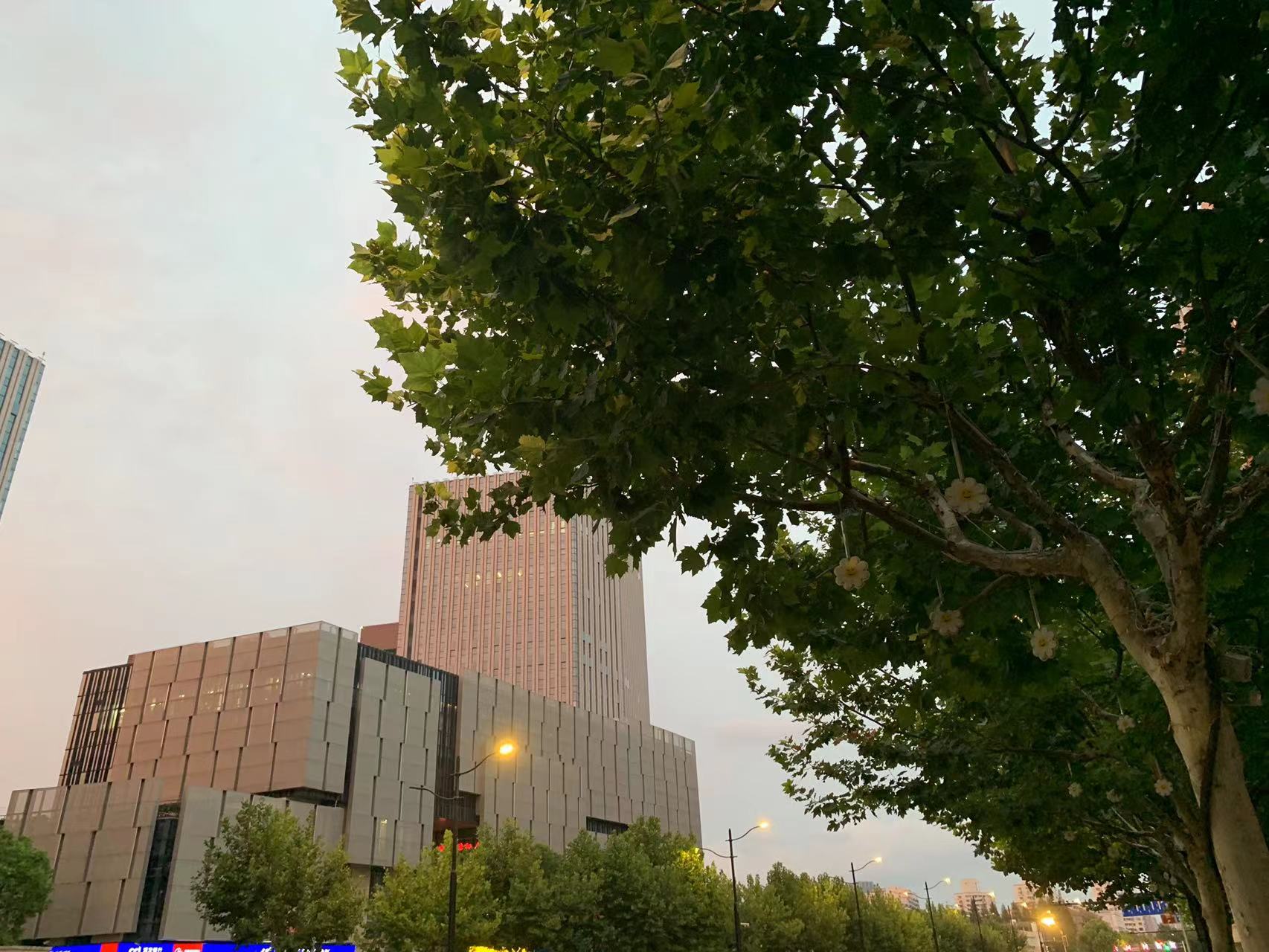 商标注册申请要多长时间