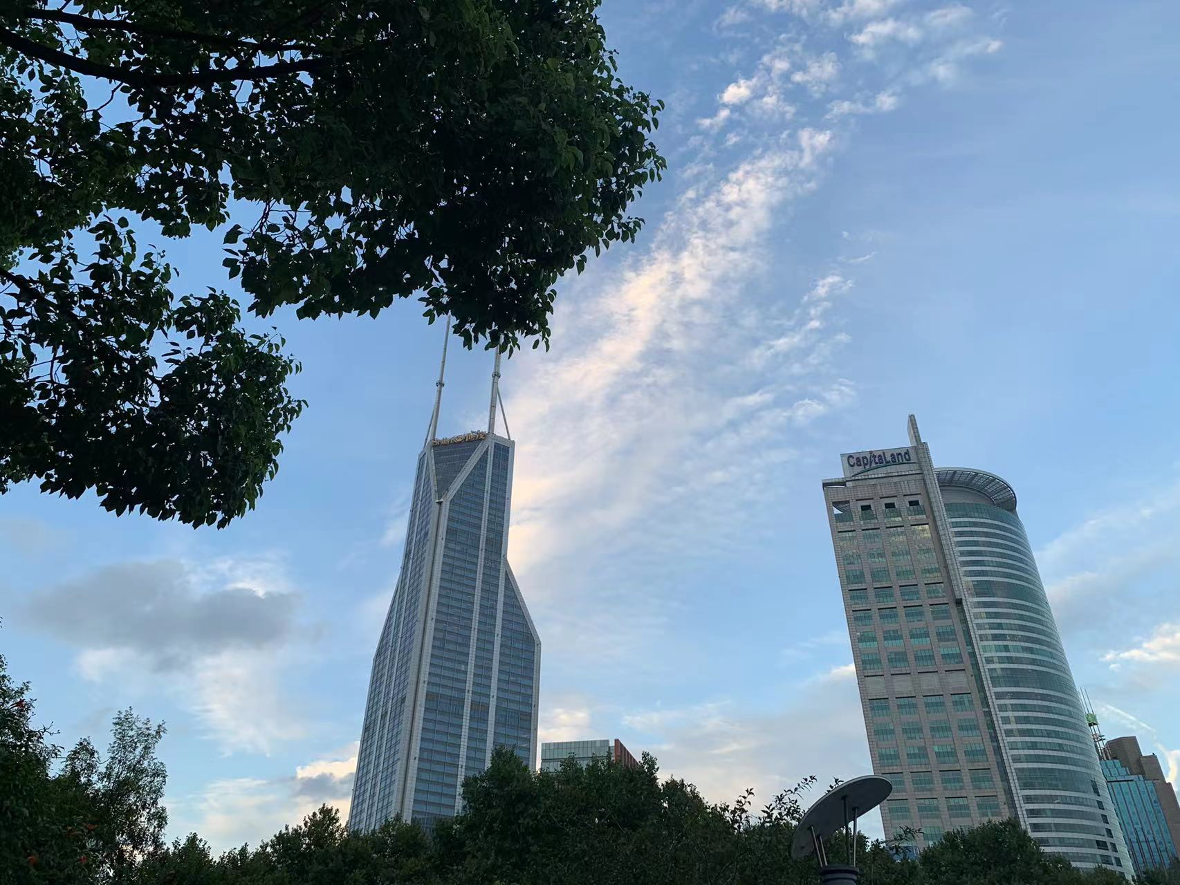 餐饮商标注册流程及费用