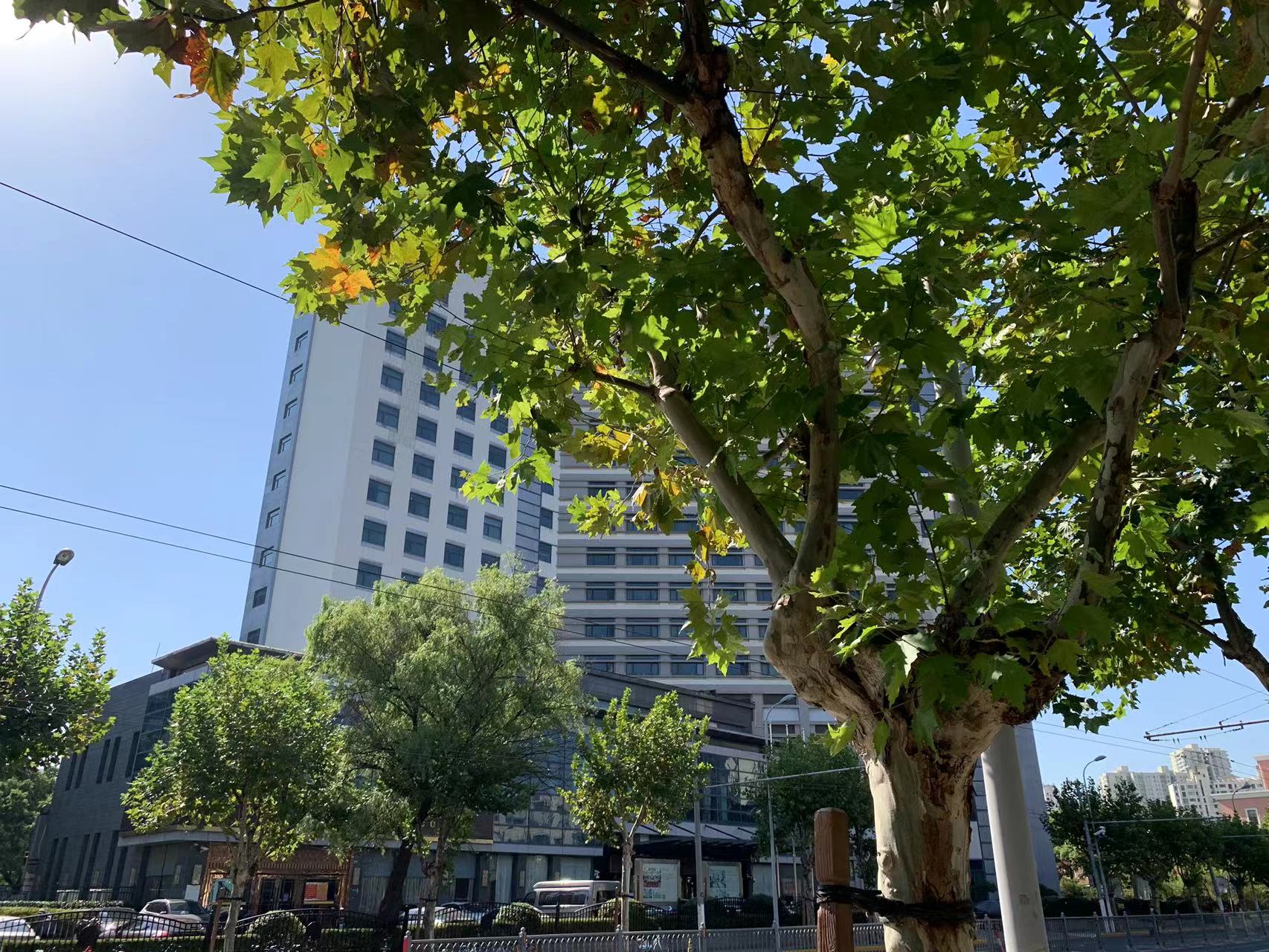 上海金山区商标注册