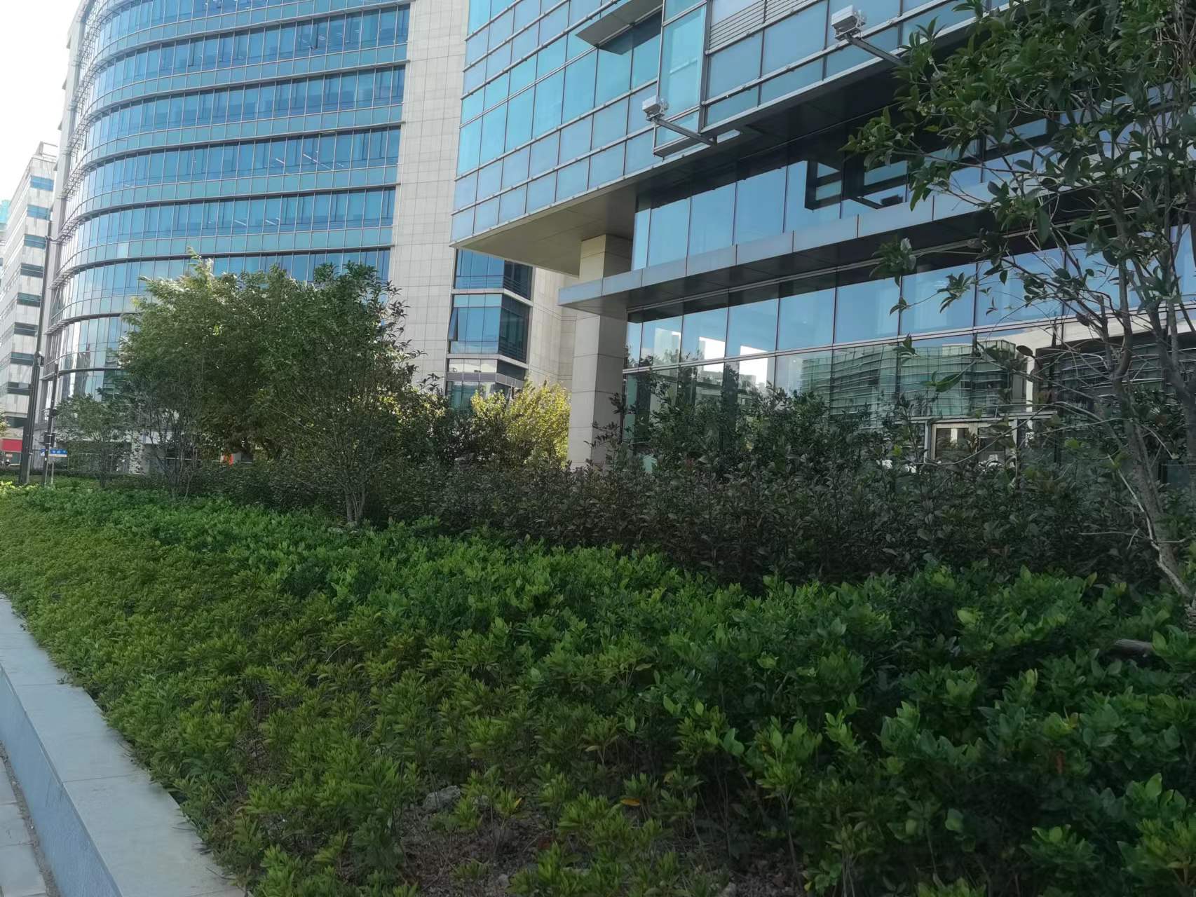 重庆商标注册申请查询