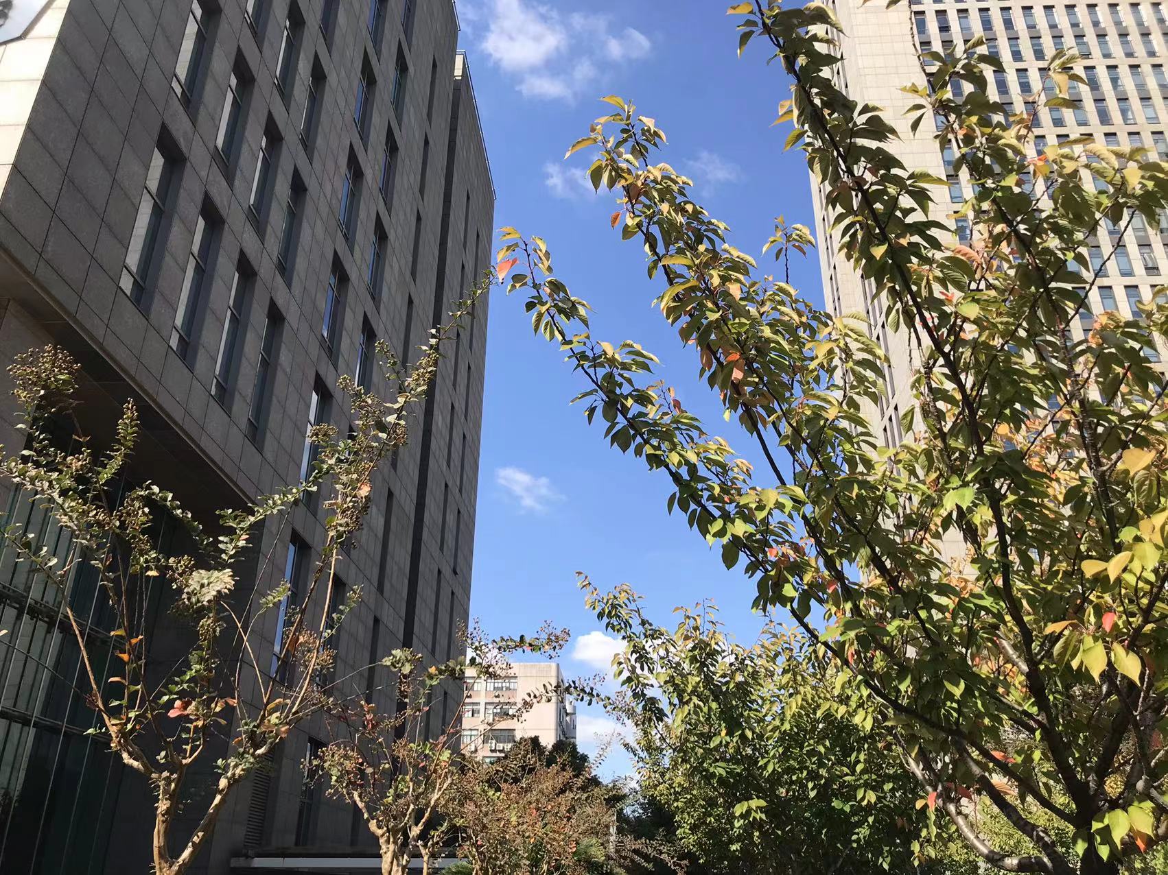 商标查询是否被注册