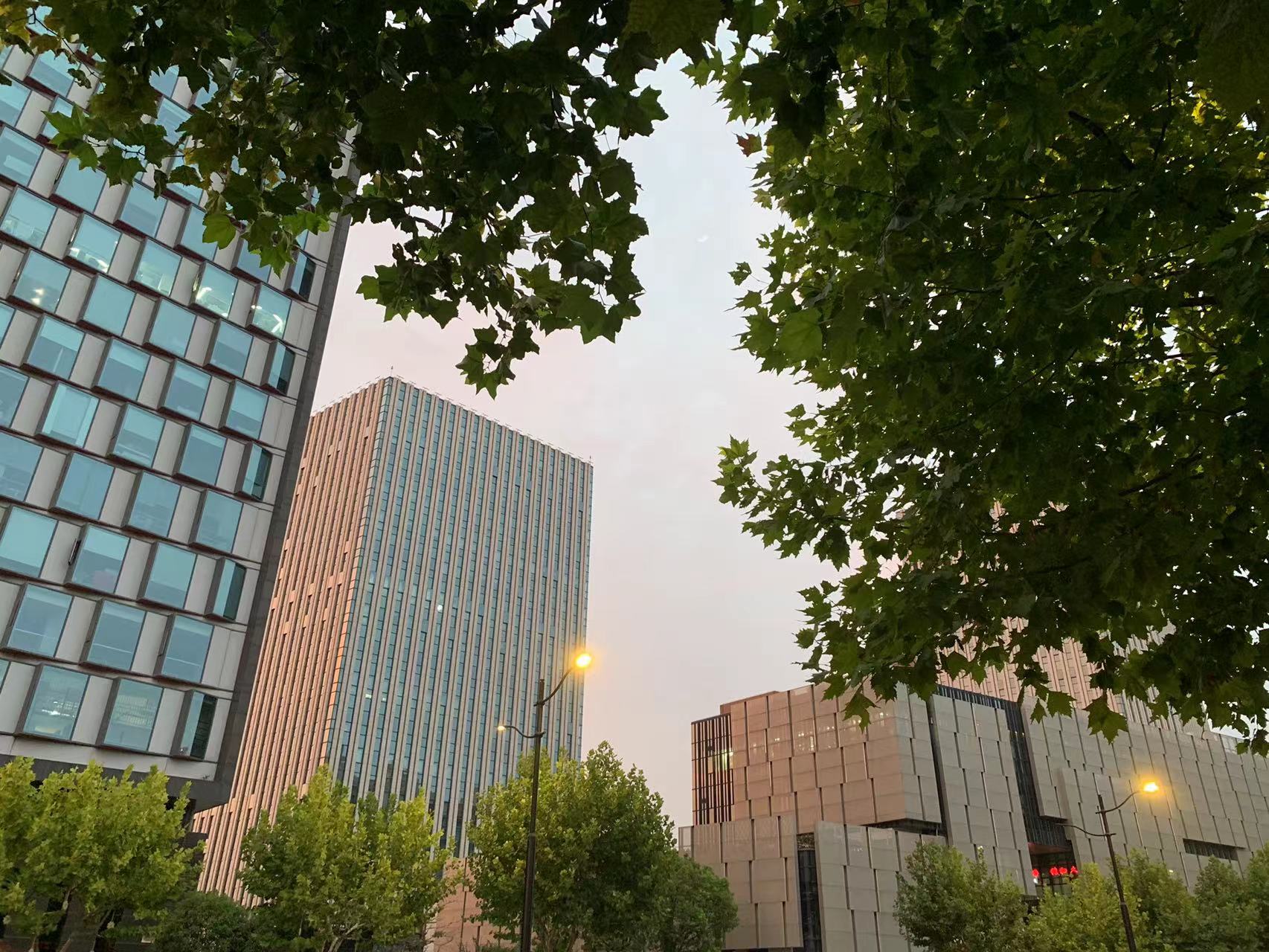 镇江商标注册流程